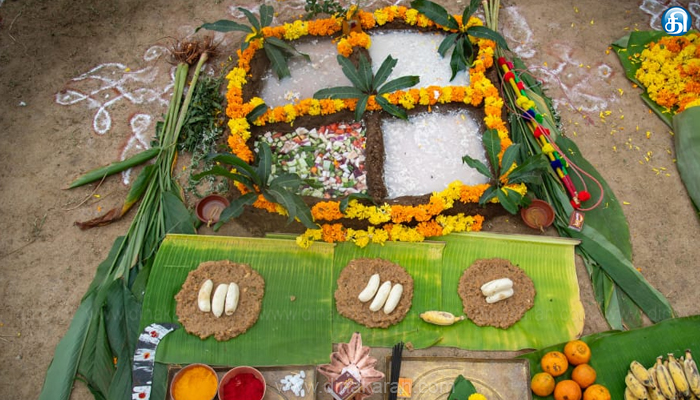 isha , maatu pongal
